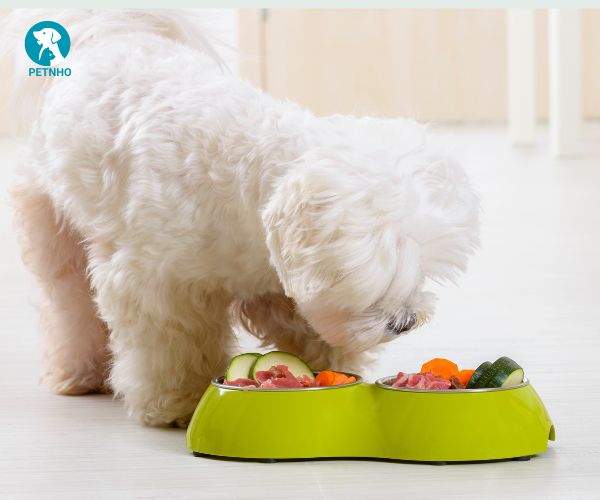 Thức ăn tươi cho chó nguồn thức ăn cần thiết