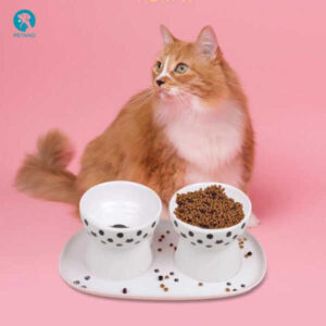 Khay đựng thức ăn cho mèo bằng gốm